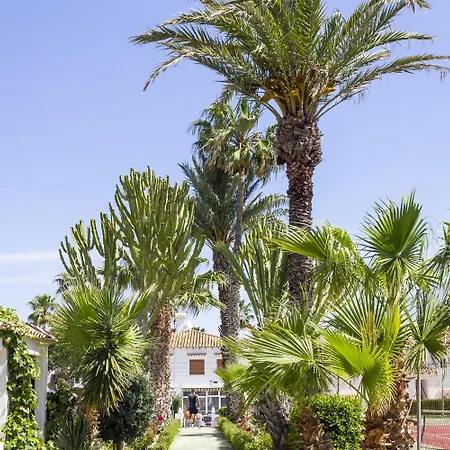 Pink Palm Torrevieja